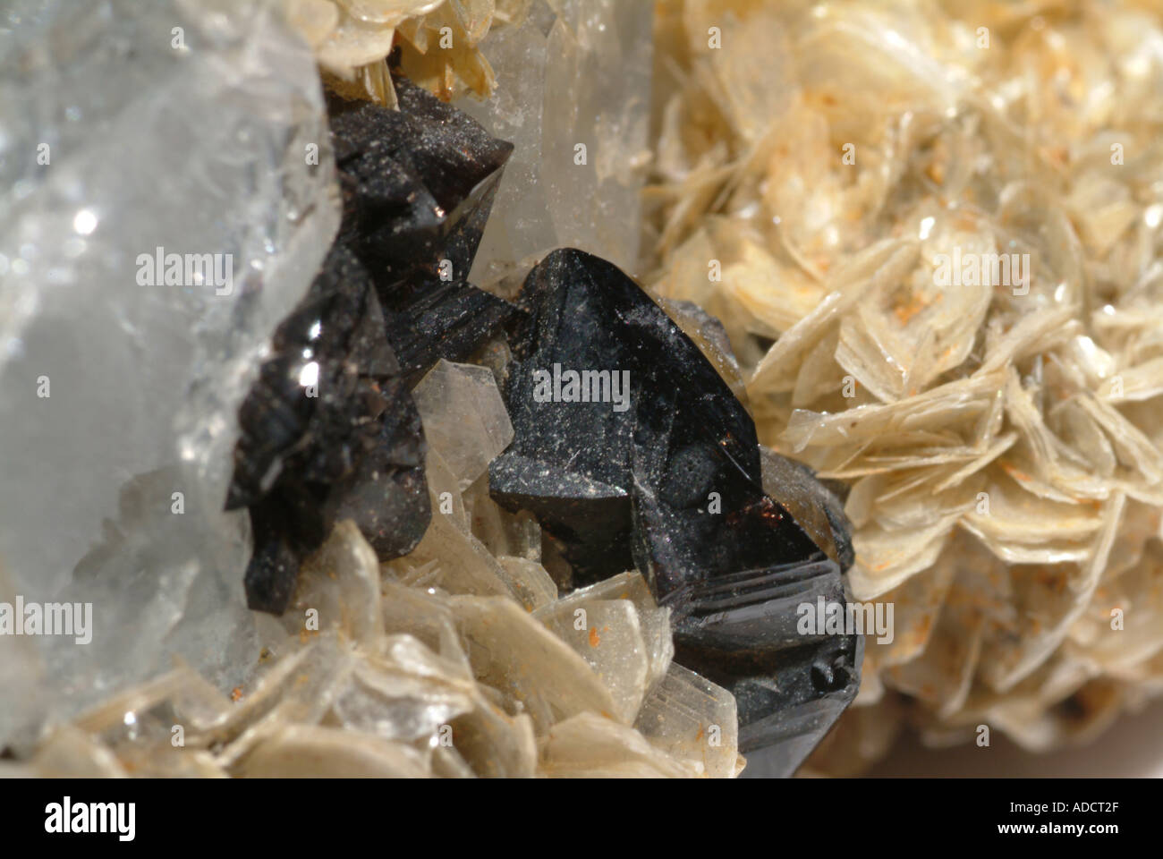 Mineral Beryll, Aquamarin, Varient Zinnstein mit tabellarischen Beryl, Muskovit und albit., Xue Bao Ding, Ping Wu,, Provinz Sichuan, China Stockfoto