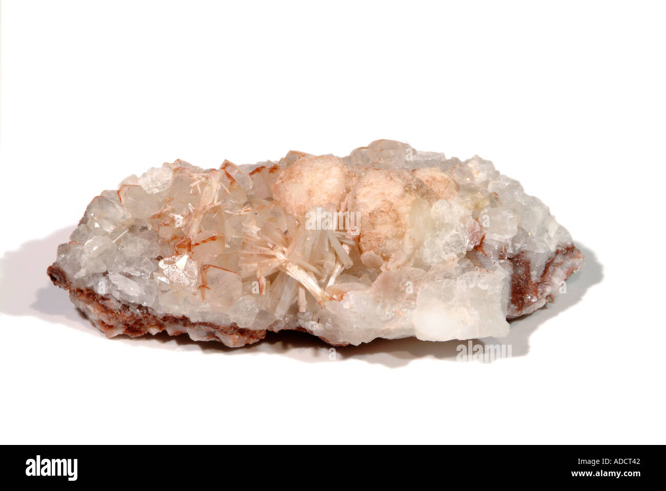 Mineralische Natrolith, Natrolith Kristalle und Analcime mit Apophlite, Dean Steinbruch, St. Keverne, Cornwall, England Stockfoto