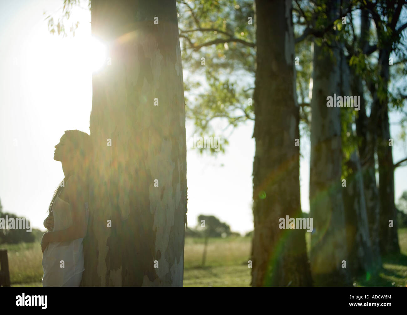 Frau, Baum, Sonne im Hintergrund gelehnt Stockfoto