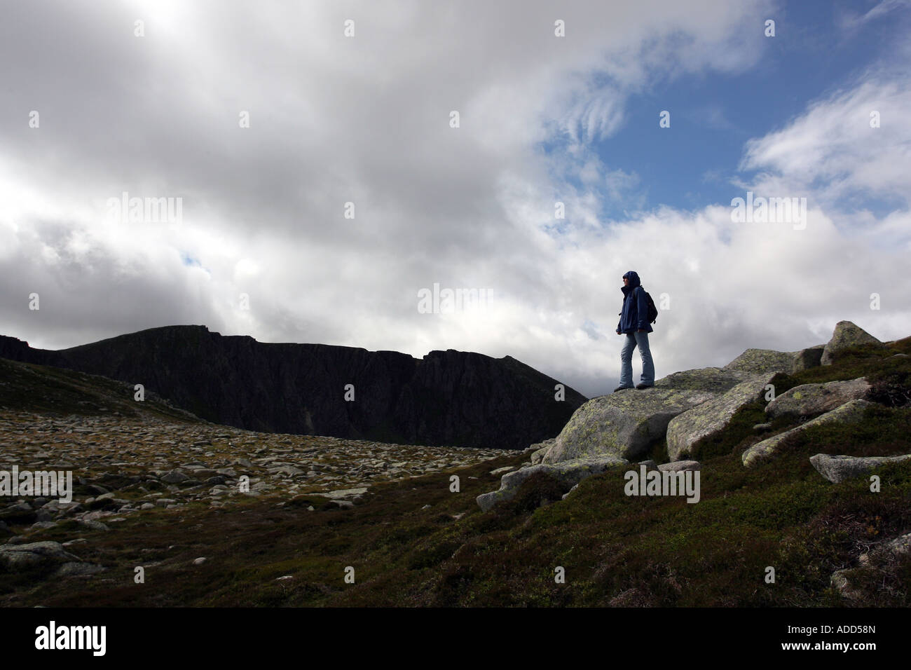 Walker Hill nahe dem Gipfel des Lochnagar in der Nähe von Ballater auf Balmoral Estate, Royal Deeside, Scotland, UK Stockfoto