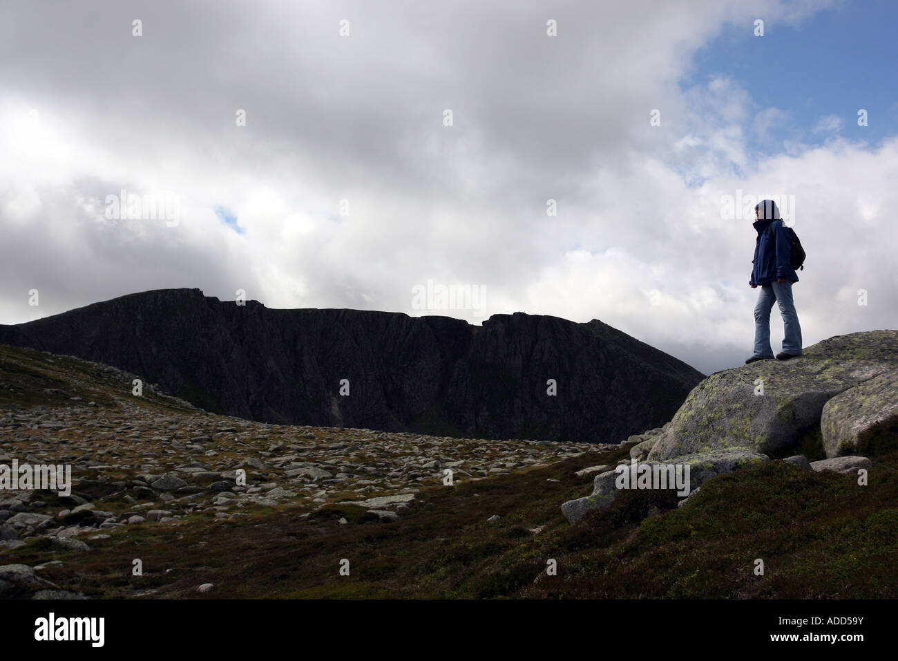 Walker Hill nahe dem Gipfel des Lochnagar in der Nähe von Ballater auf Balmoral Estate, Royal Deeside, Scotland, UK Stockfoto