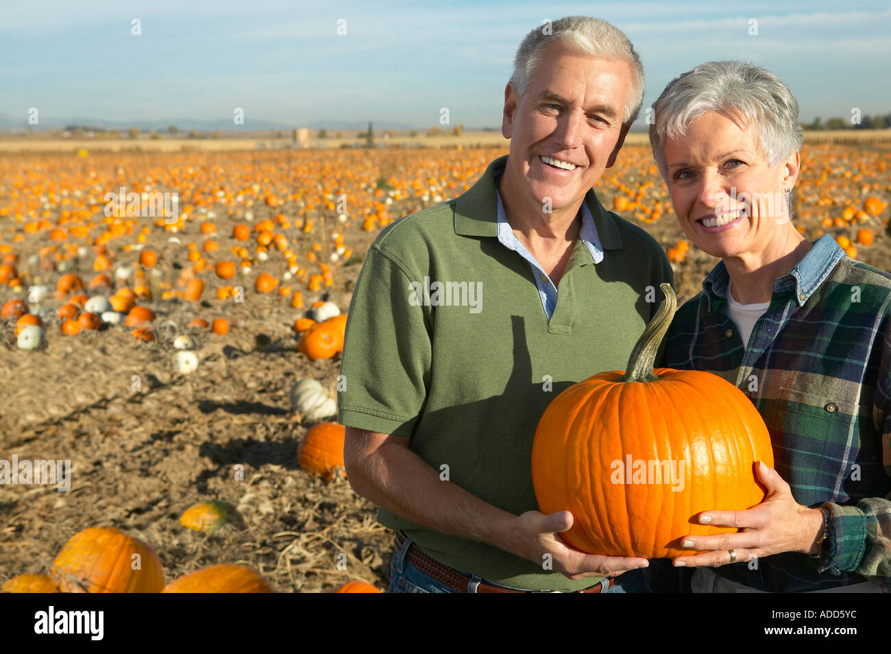 älteres paar der kaukasischen Lächeln mit ausgewählten Kürbis Pumpkin Patch Stockfoto