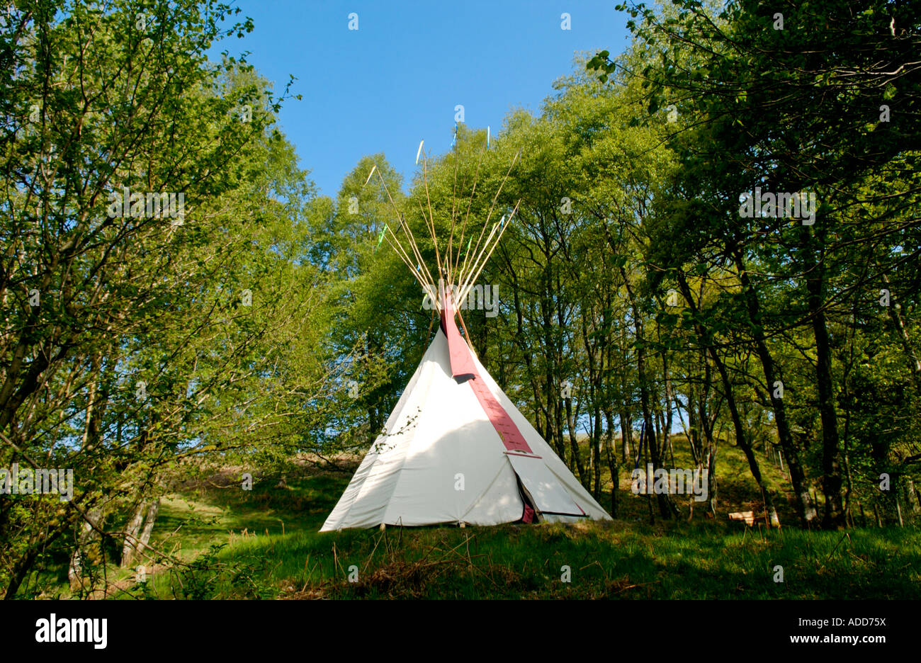 Tipi mit Polen und Bändern auf Spezialist Tipi Campingplatz am Bauernhof in Mid Wales UK Stockfoto