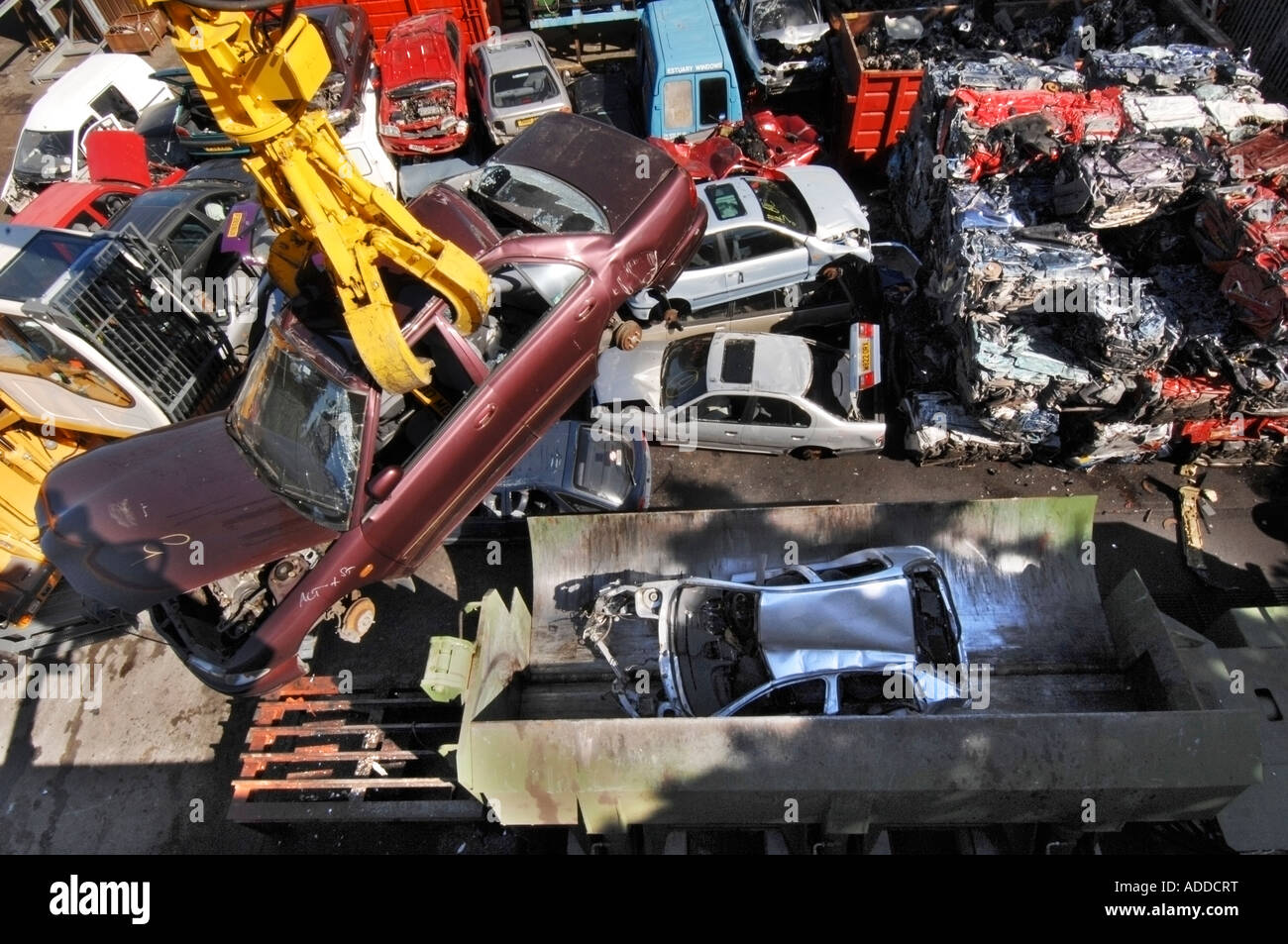 Ein Kran hebt ein Auto über zerkleinerte Fahrzeuge an einem Auto recycling und Bergung Hof Stockfoto