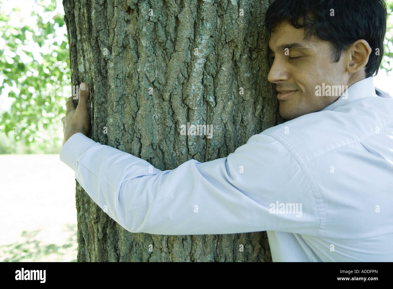 Geschäftsmann umarmt Baum Stockfoto