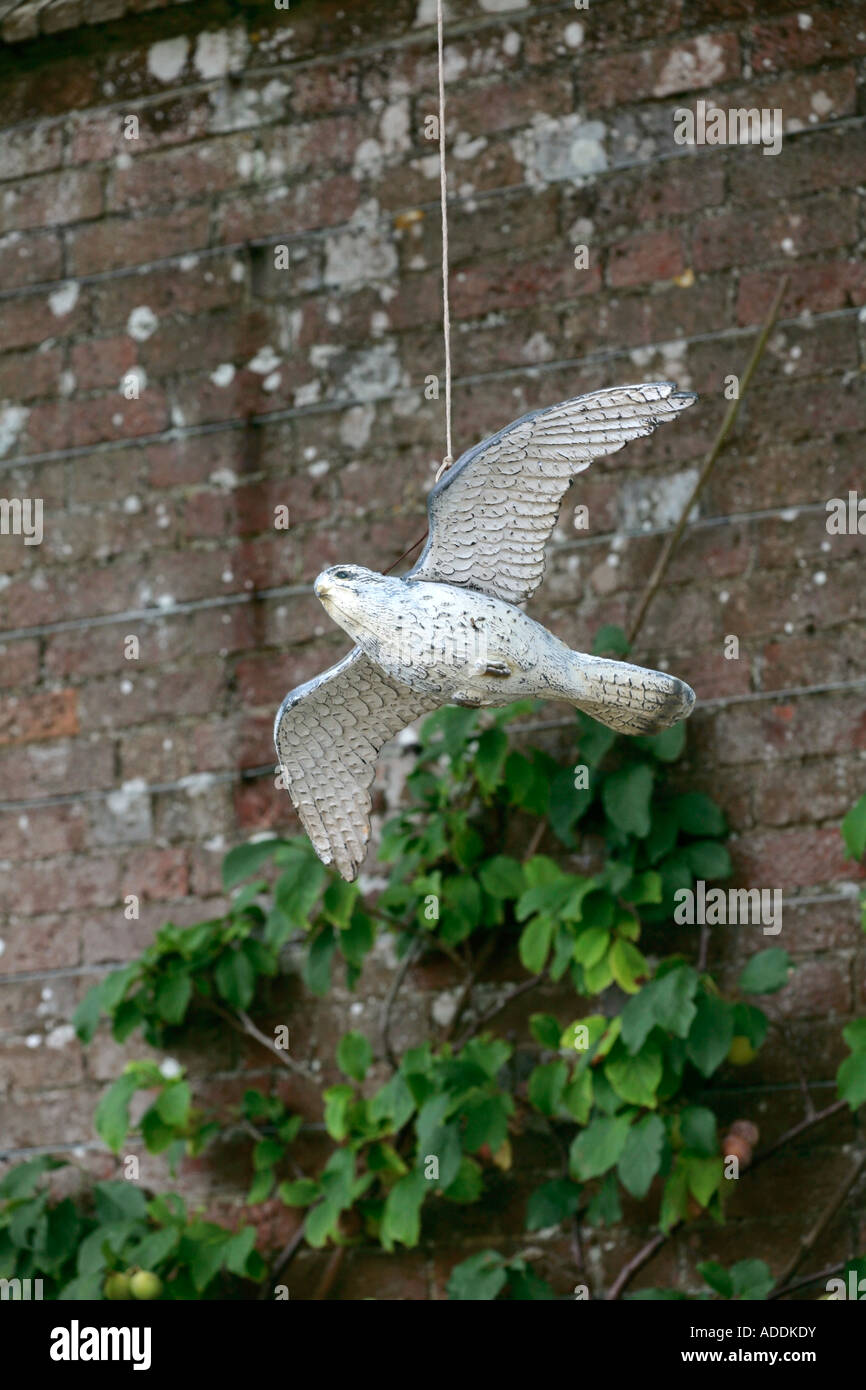 Hängende Plastikfalke aus Peregrine, die im Garten als Vogelscheuchen verwendet wird Stockfoto