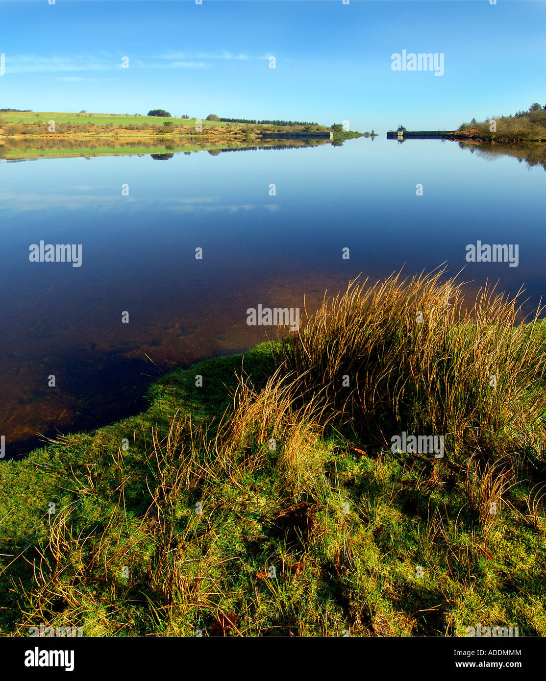 Reflexionen über Fernworthy Reservoir im Dartmoor National Park in der Nähe von Moretonhampstead Devon Stockfoto