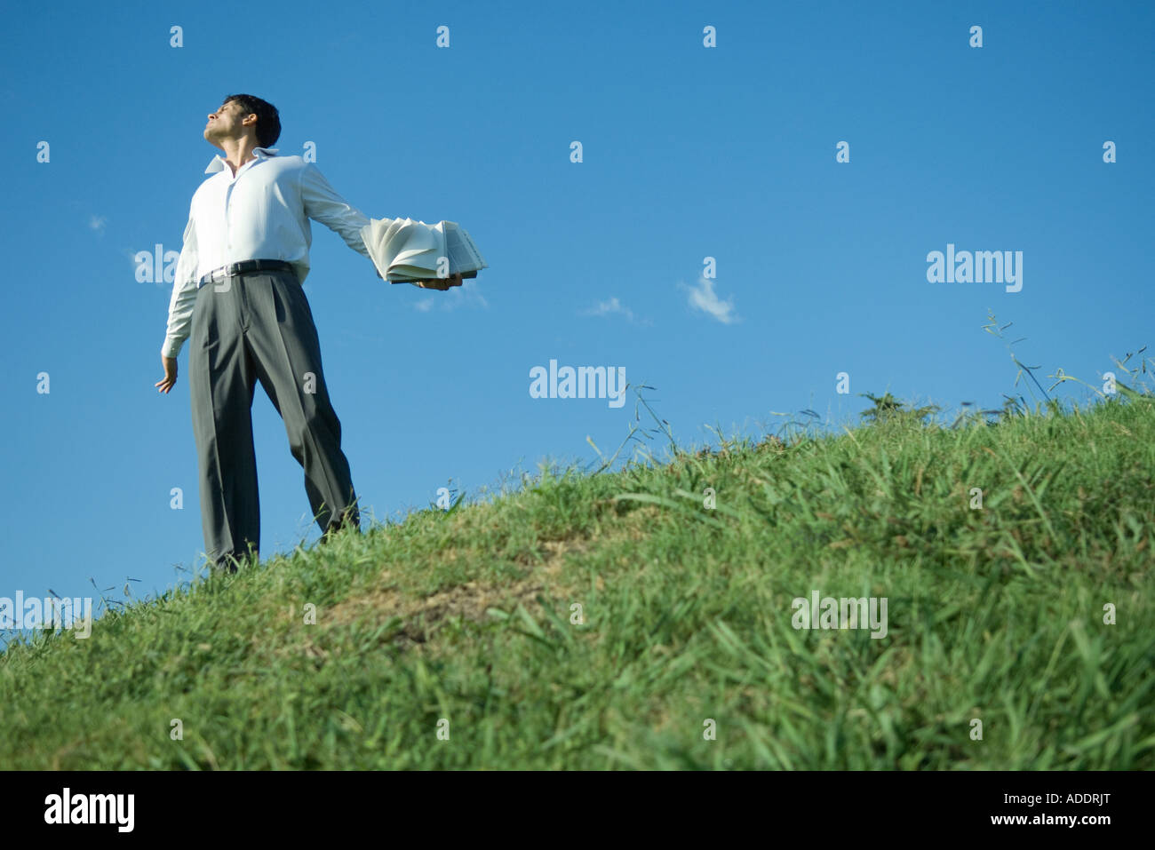 Geschäftsmann auf grasbewachsenen Hügel stehend, hält Buch, niedrigen Winkel Ansicht Stockfoto