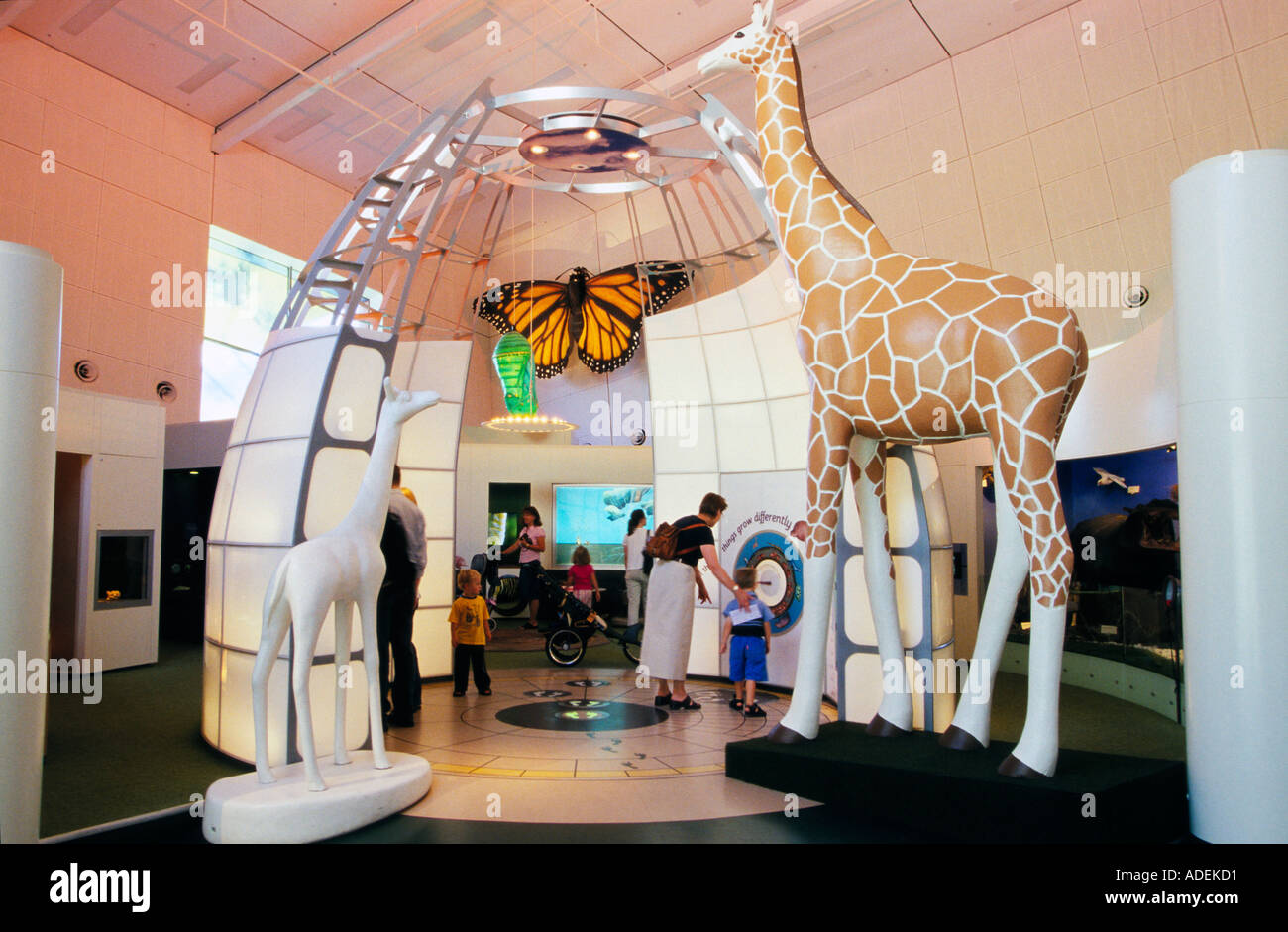 Melbourne museum Stockfoto