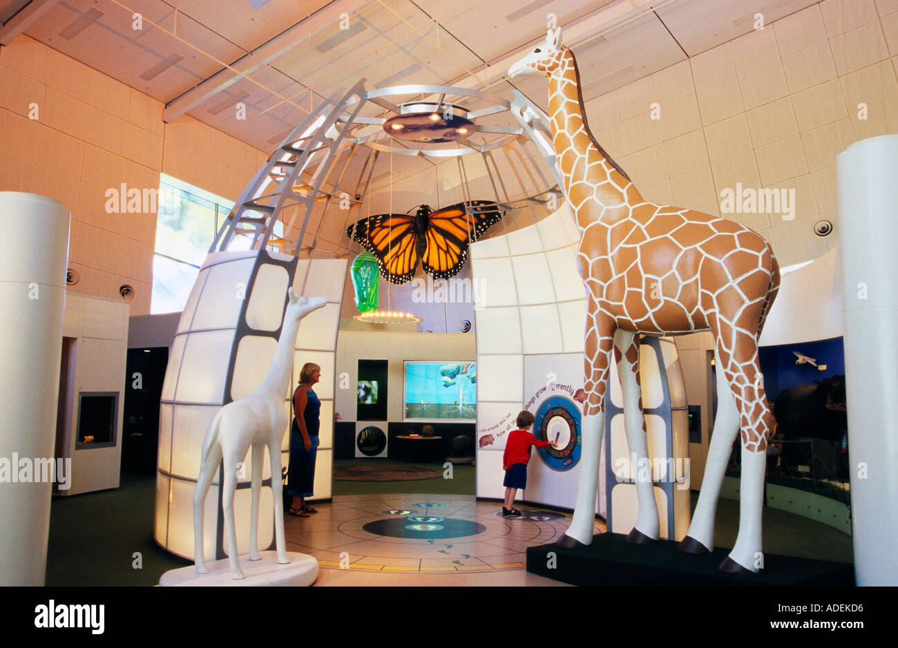 Melbourne museum Stockfoto