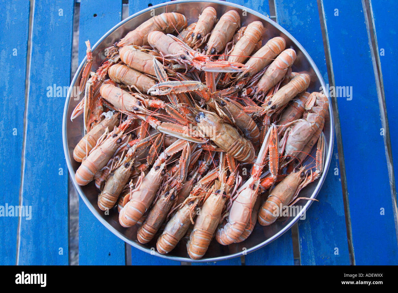 Scampi auf einem runden Teller Stockfoto