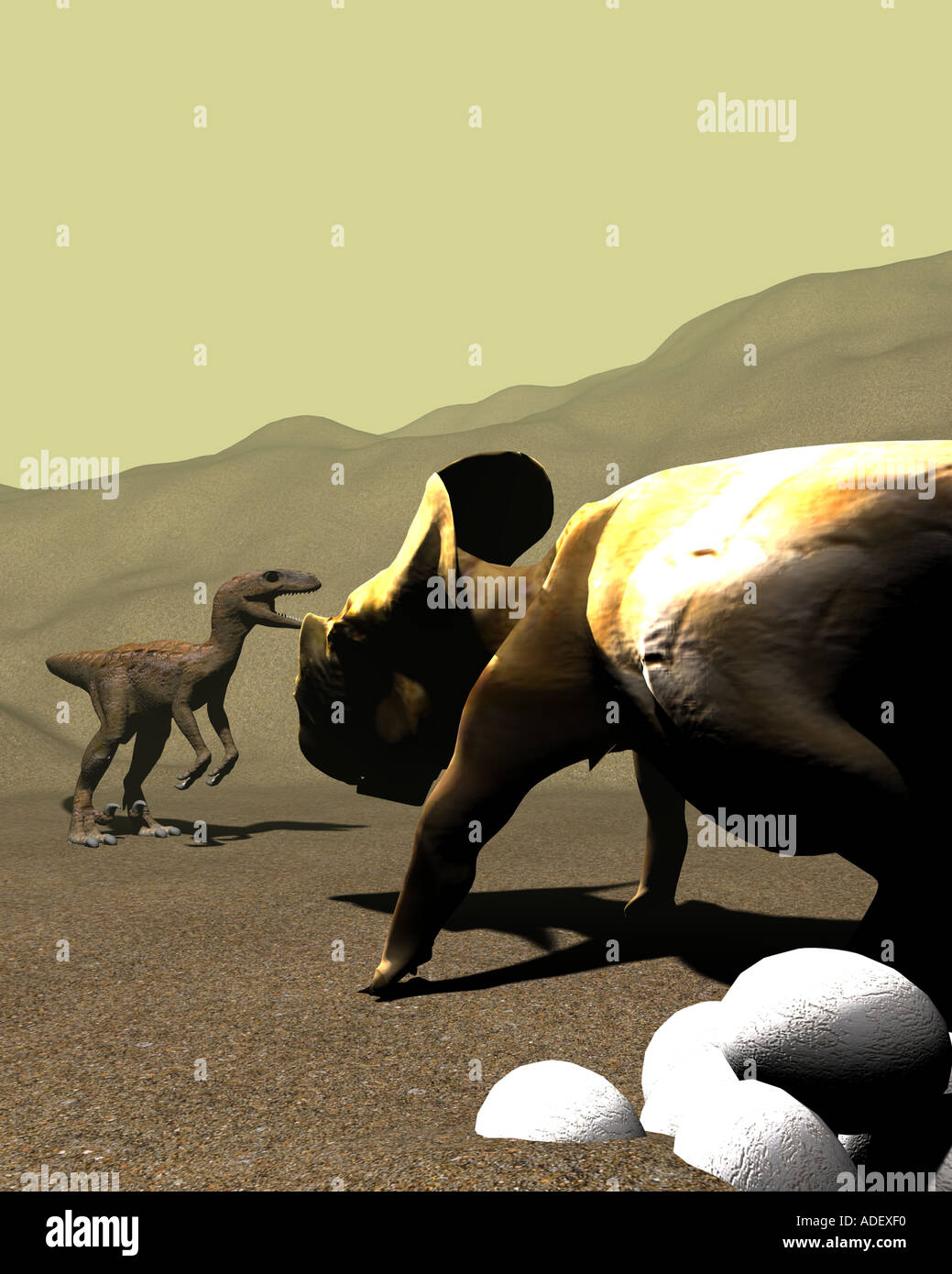Bewachung der Egs aus einem Raptor zwei Dinosaurier ein eine Velociraptor den anderen Exklusivmerkmal wie Triceratops Protoceratops Stockfoto
