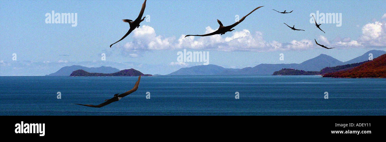 Pterodactyl Verhältnis der Dinosaurier war das kein prähistorischer Vogel, sondern eine ausgestorbenen Arten von Reptilien Pteranodon Stockfoto