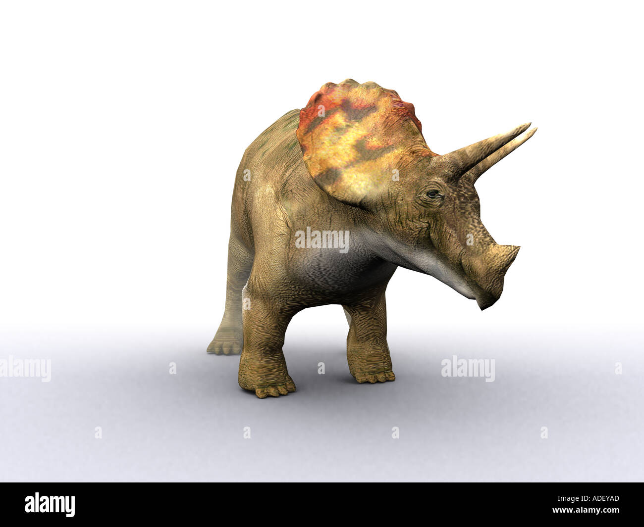 Triceratops Dinosaurier einer ausgestorbenen prähistorischen Reptilien ein Exklusivmerkmal Silhouette Stockfoto
