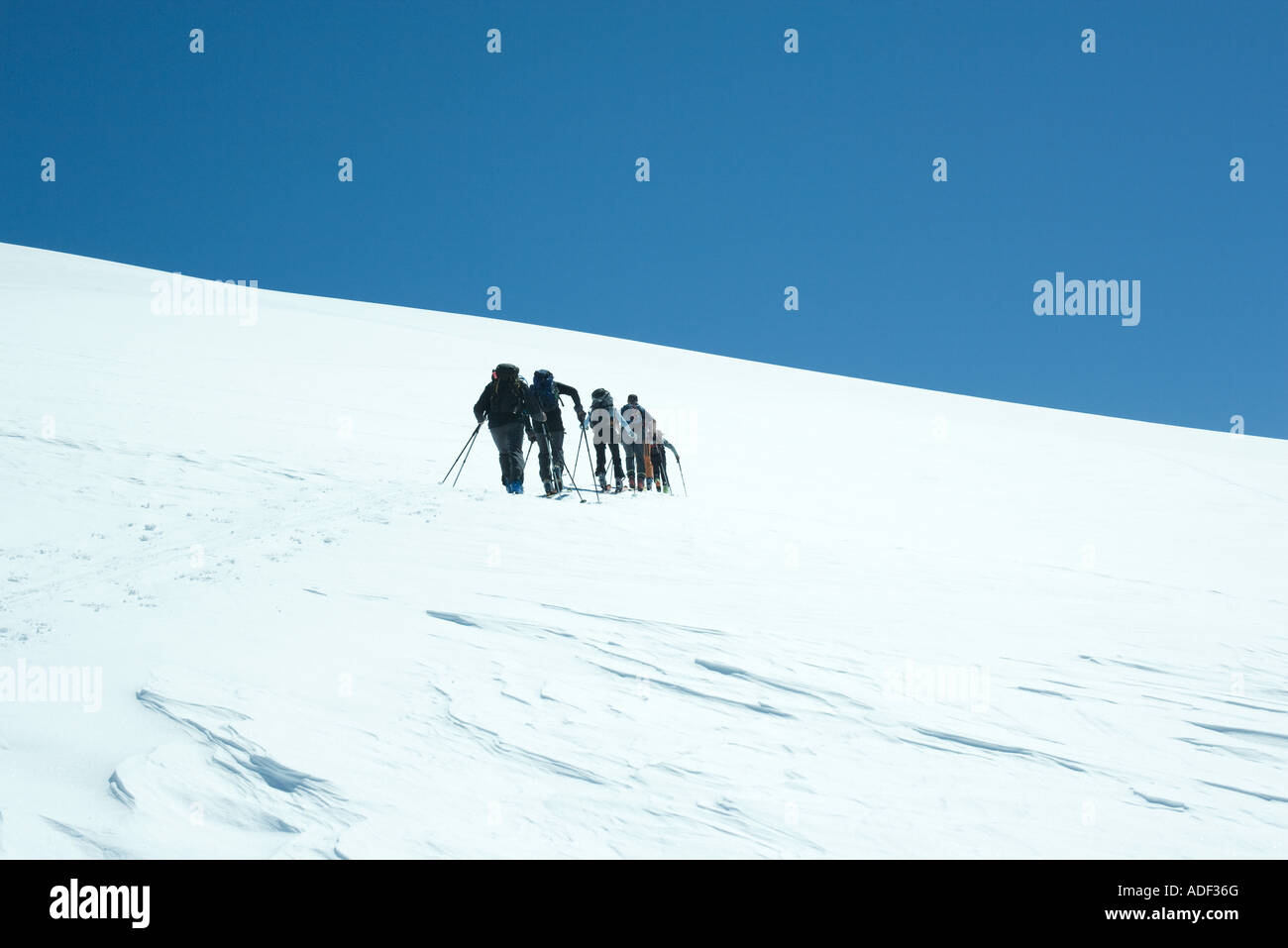 Skifahrer Stockfoto