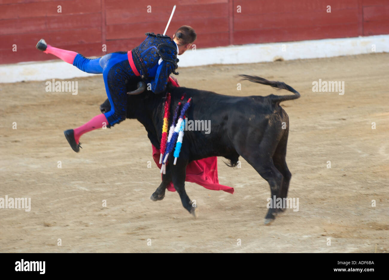 Stierkampf in Spanien, Stier Hörner matador Stockfoto