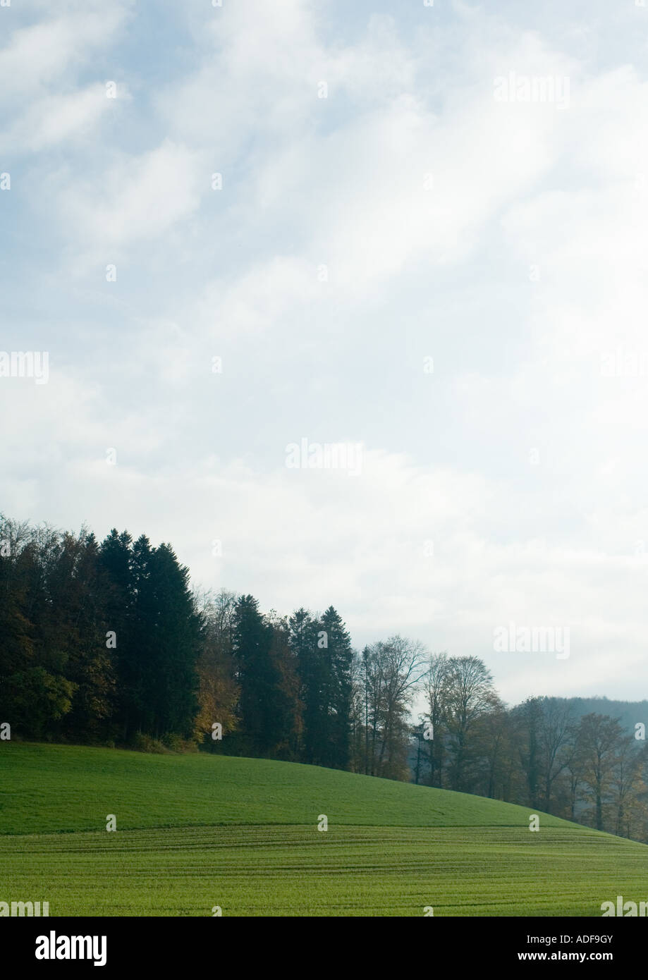 Schweiz, Landschaft mit Bäumen und Himmel Stockfoto