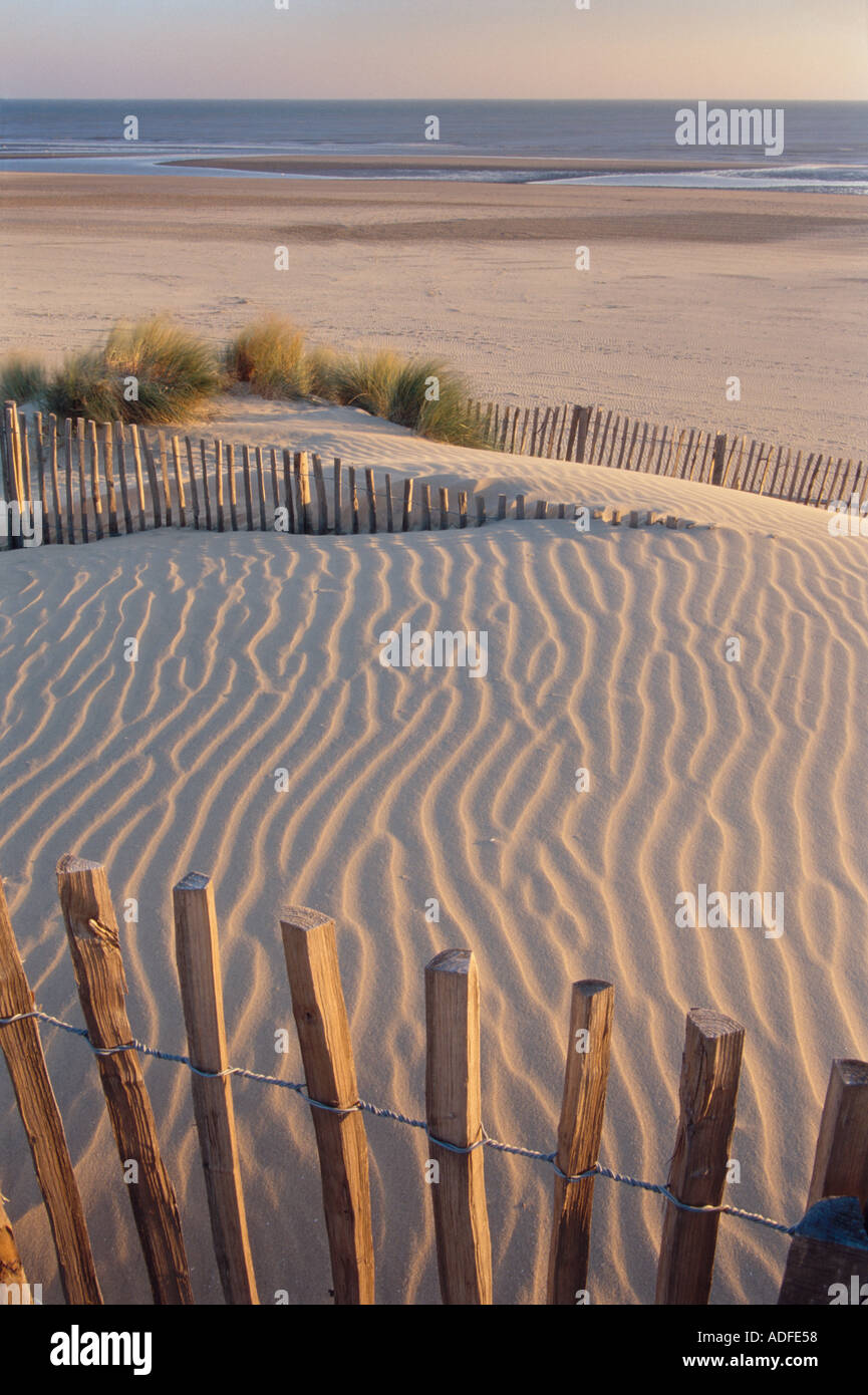 Camber Sands in der Nähe von Roggen East Sussex England UK Stockfoto