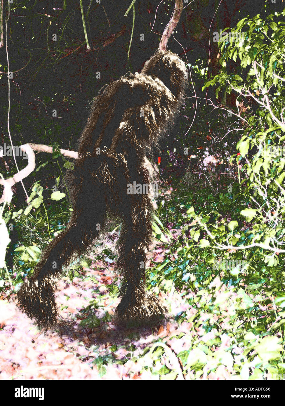 gefälschte Fotos von Bigfoot Sasquatch oder Yeti Computer Illustration kein echtes Foto Stockfoto