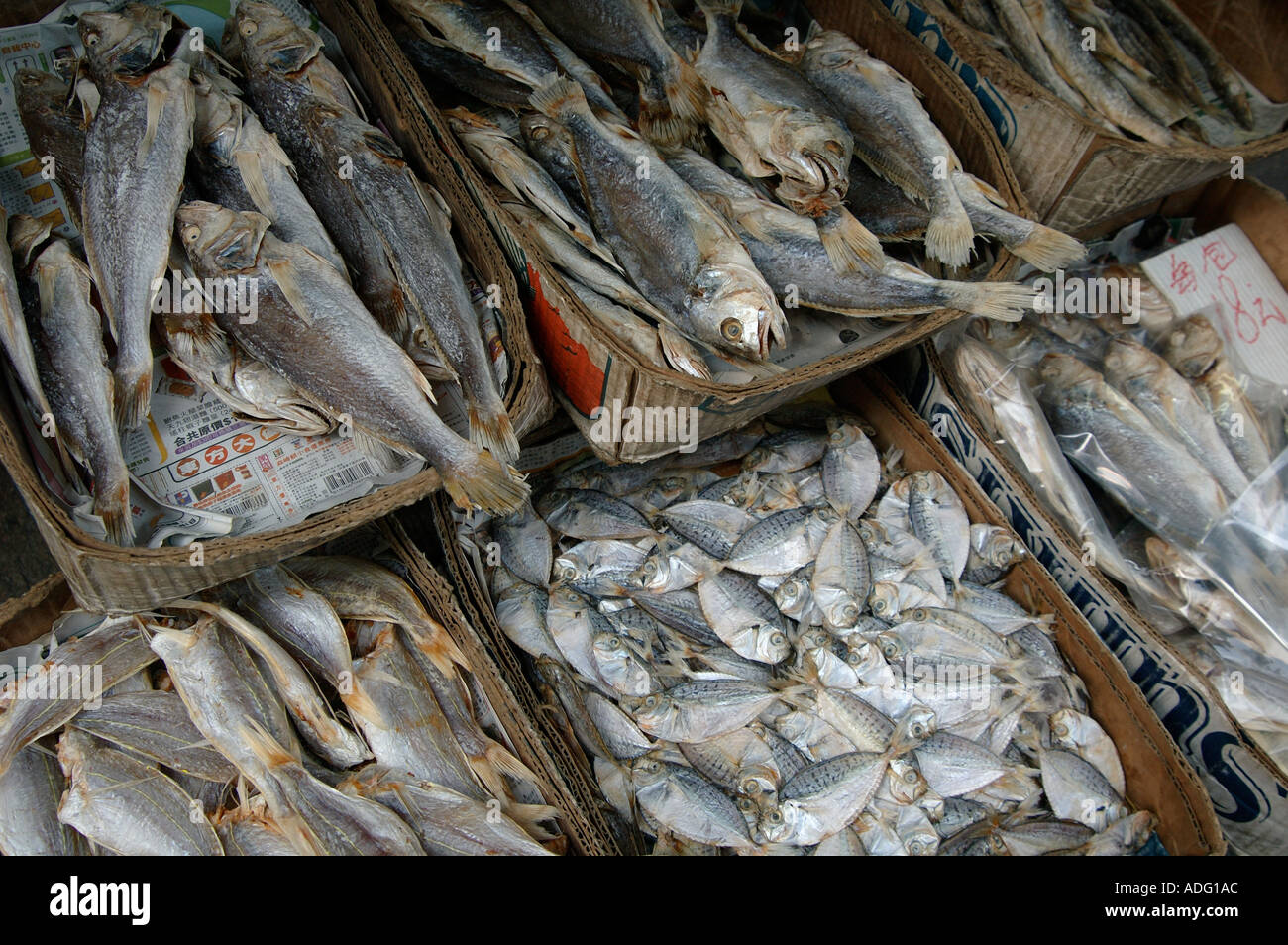 Boxen mit getrocknetem Fisch zum Verkauf auf einem Straßenmarkt in Hongkong, China. Stockfoto