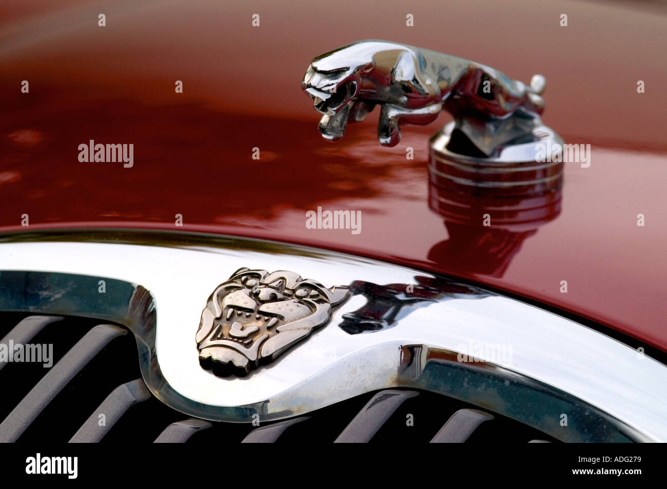 Jaguar Auto Symbol Leuchten moderne Stockfoto