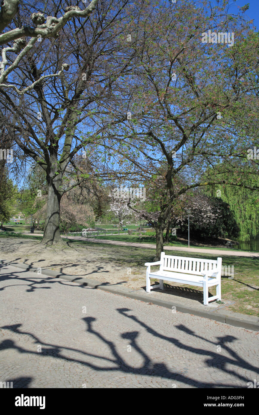 Bank an Warme Damm Wilhelm-Straße in der Nähe Kurpark. Wiesbaden, Hessen, Deutschland, Europa Stockfoto