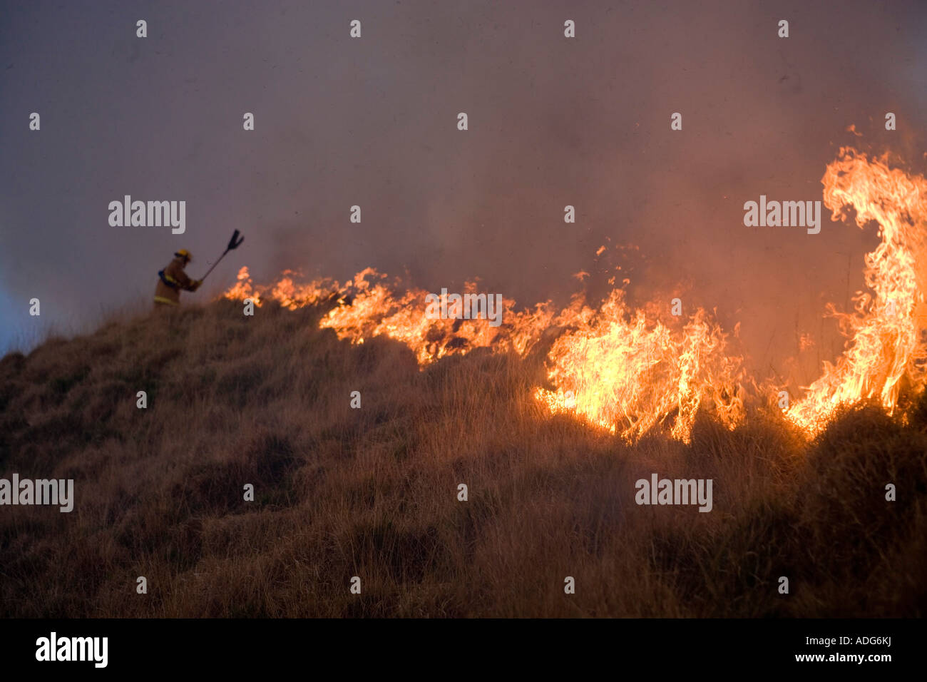Feuerwehrmann, schlugen Sie ein Rasen-Feuer auf Lancashire Moorlandschaften Stockfoto