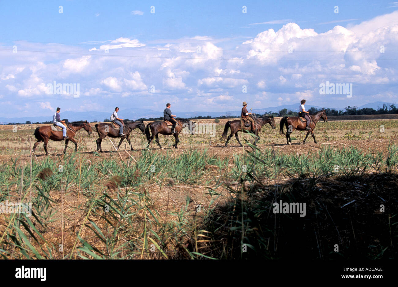 Reiten auf dem Pferd Parco della Maremma Alberese Toskana Italien Stockfoto