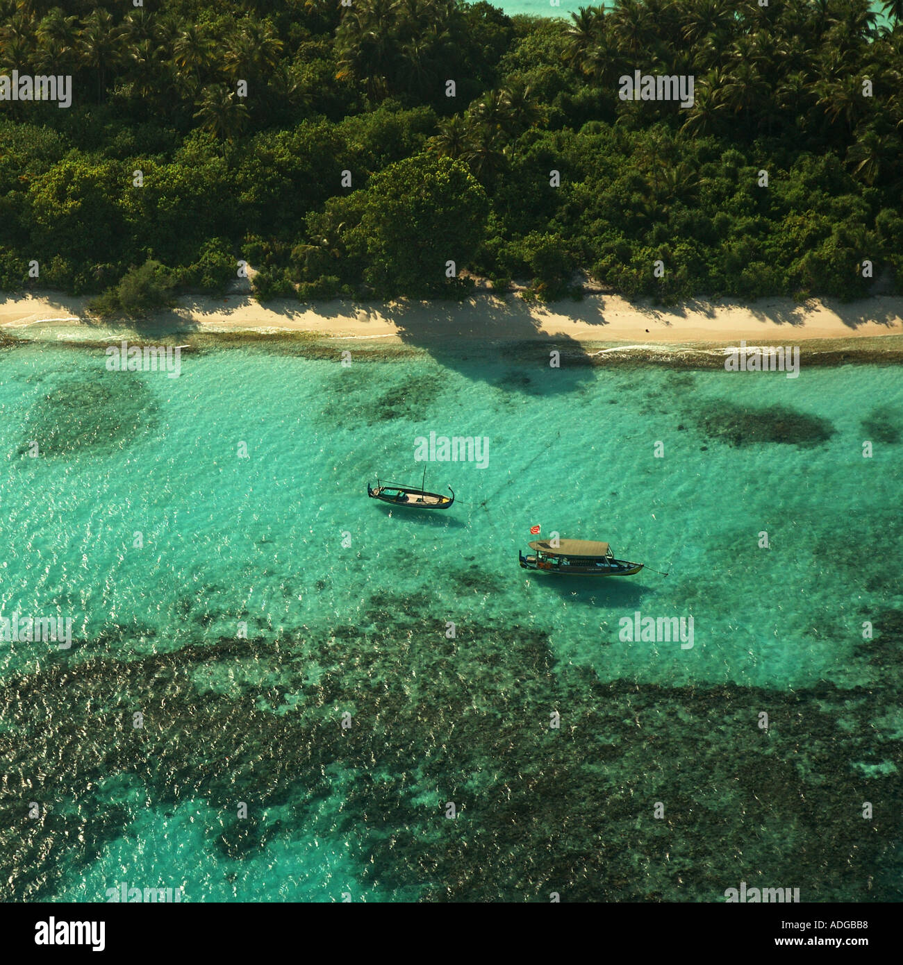 Luftaufnahme des Dhoni Angelboote/Fischerboote Malediven Indischer Ozean Stockfoto