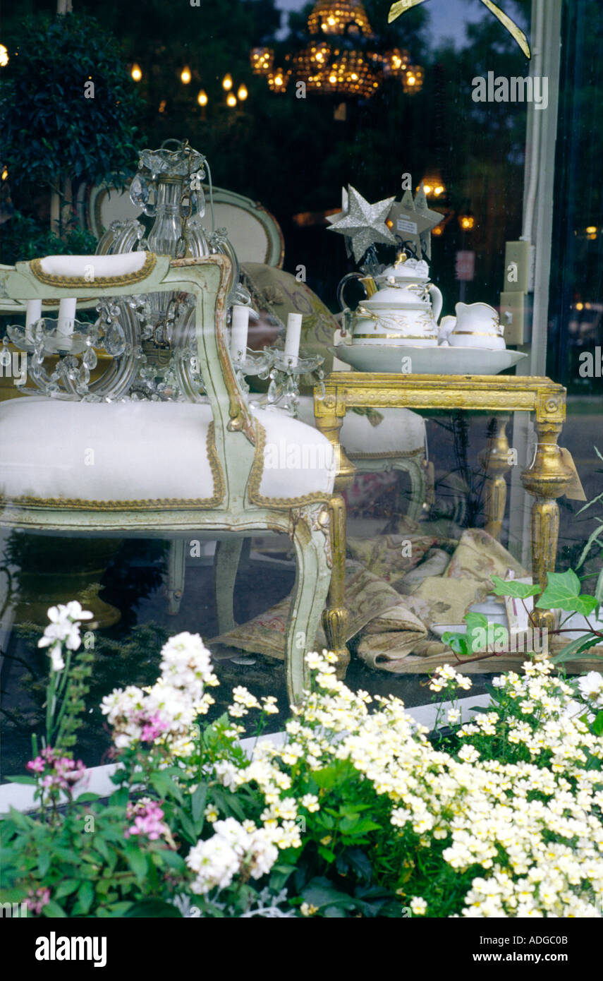 Antiquitätengeschäft Anzeigefenster mit Blumenkasten Stockfoto