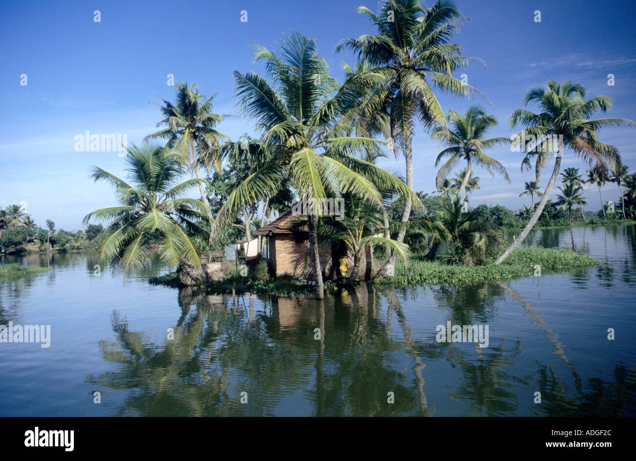 Kleines Gehöft mitten in Kerala Backwaters Lagune, Südindien. Stockfoto