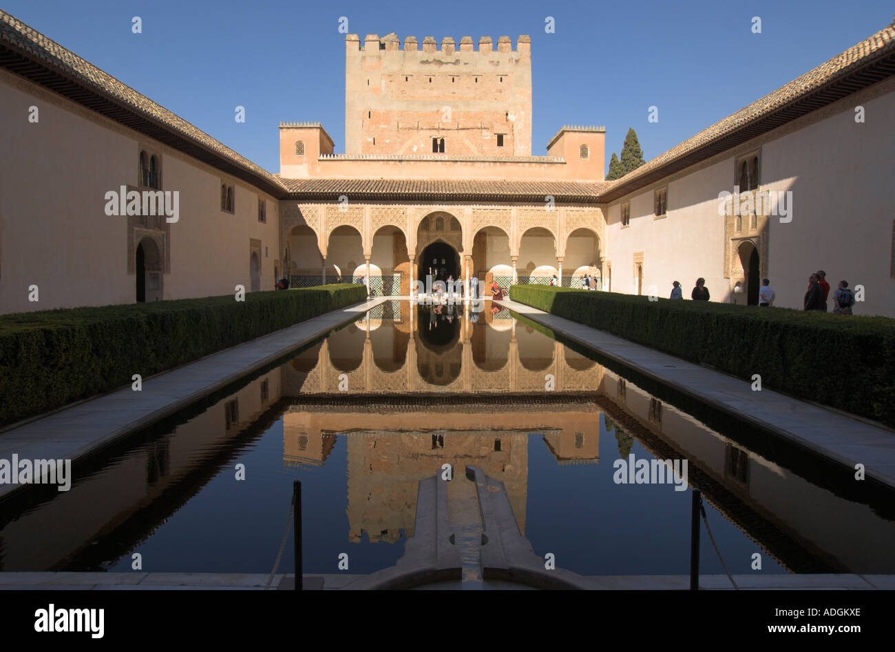 Europa Spanien Andalusien Alhambra Granada Mapuches Myrten Stockfoto