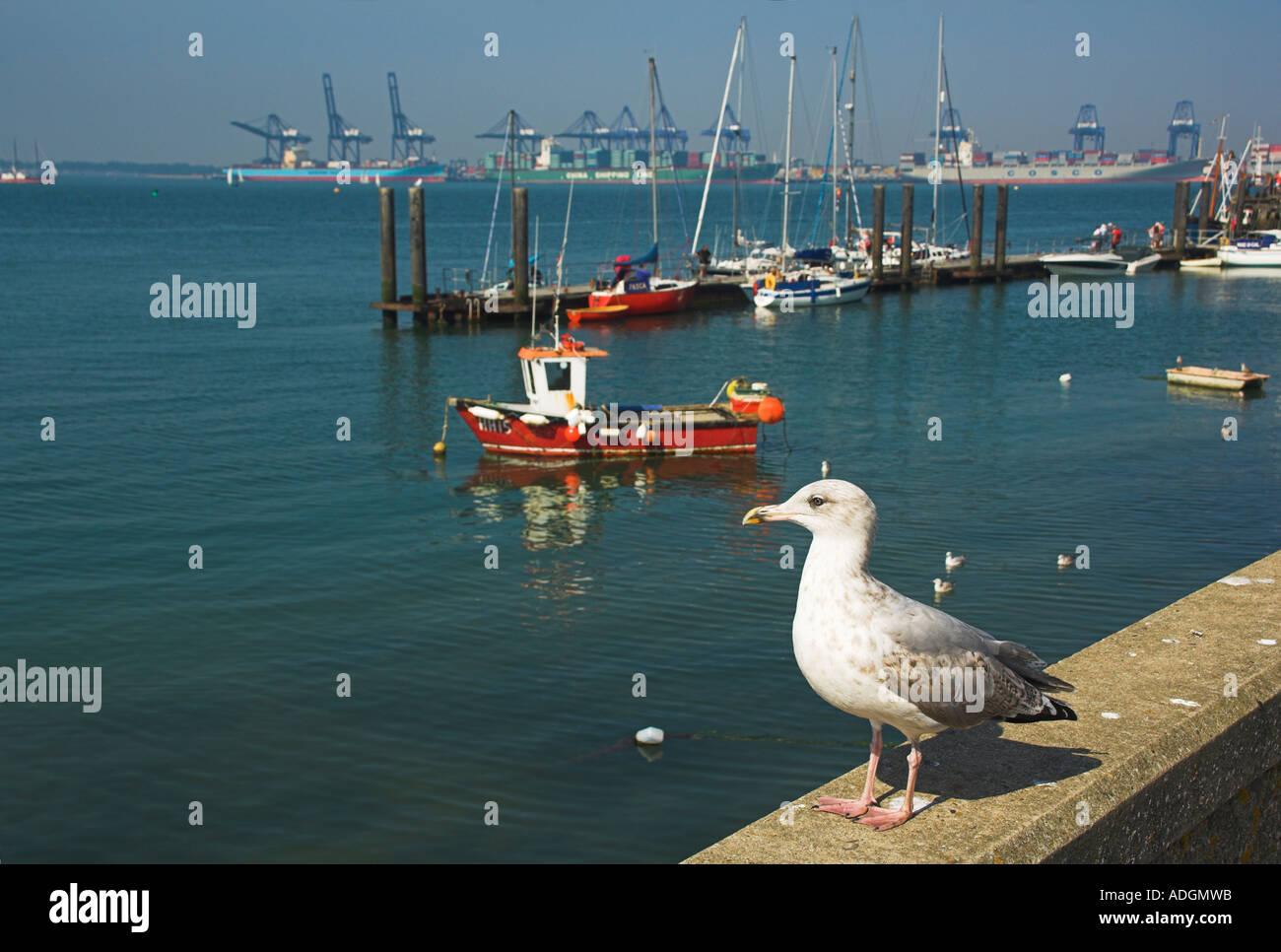 Europa-Großbritannien-England Essex Harwich Hafen Stockfoto