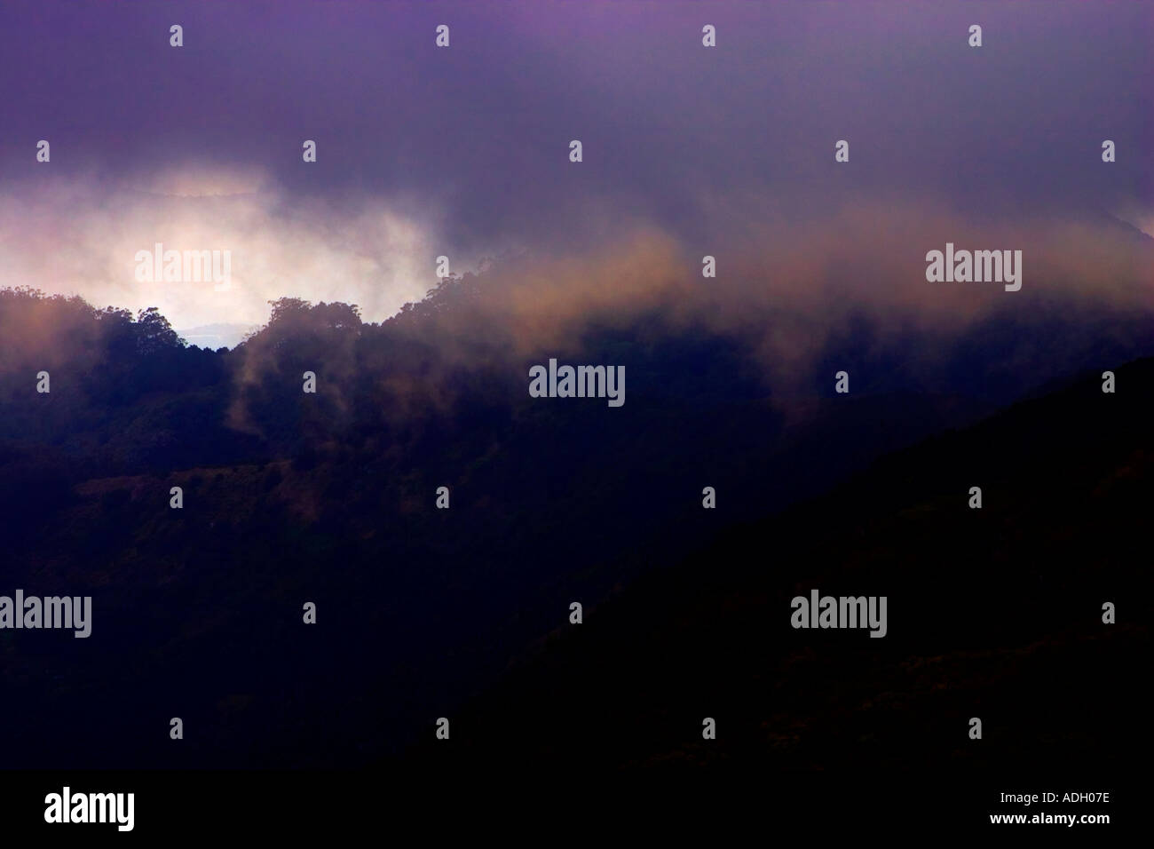 Gewitterwolken über Wald Parque Natural de Anaga östlichen Teneriffa Kanaren Spanien Stockfoto