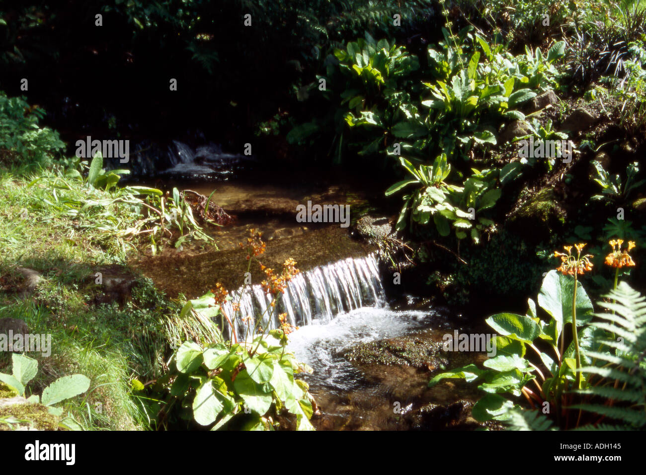 Gärten in der Parcevall Hall ein religiöses Refugium in Yorkshire Dales Stockfoto