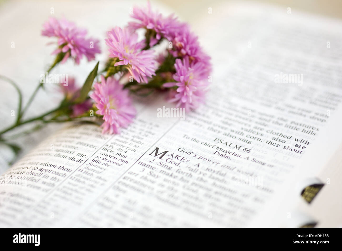 Blumen auf eine Bibel zu öffnen, um das Buch der Psalmen Stockfoto