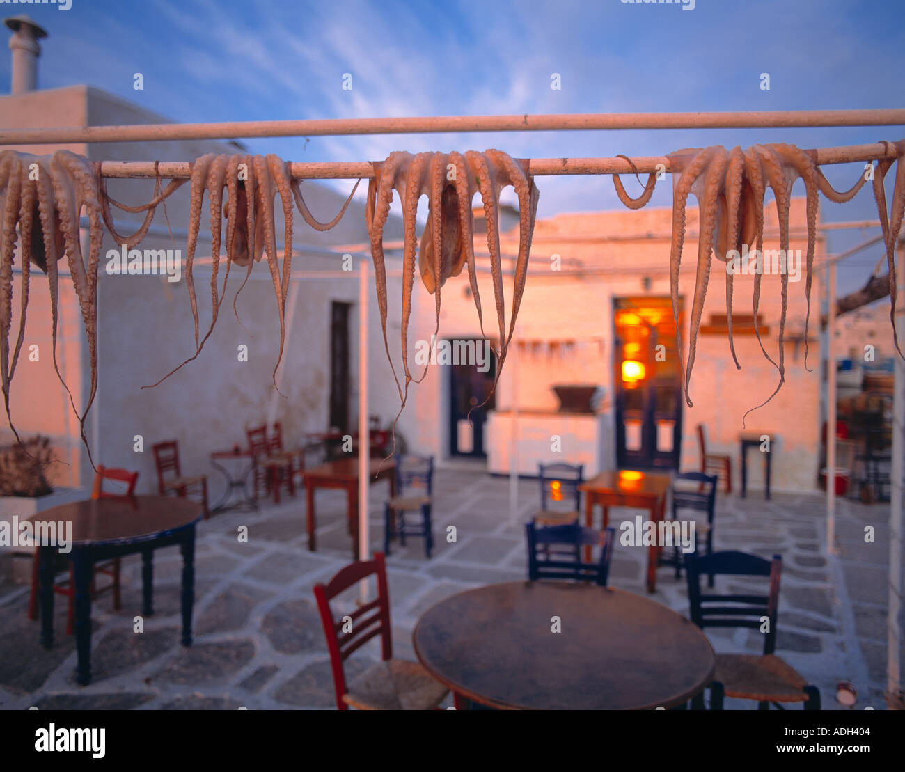 GRE Cycladen Paros Octpuss Trocknung vor Café in Naoussa Sonnenuntergang keine Menschen Stockfoto