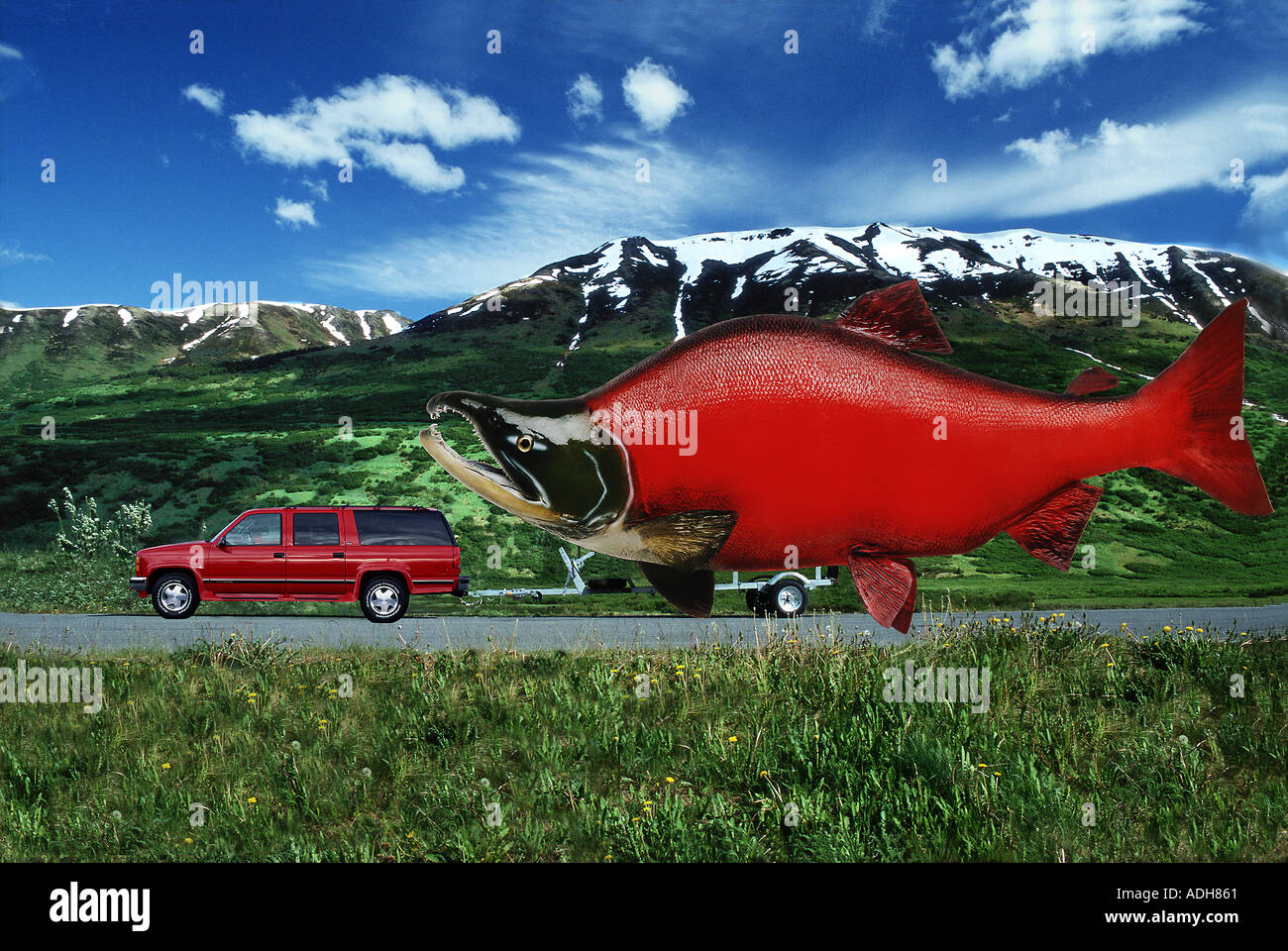 LKW ziehen große rot Lachs Yunan AK Composite Stockfoto