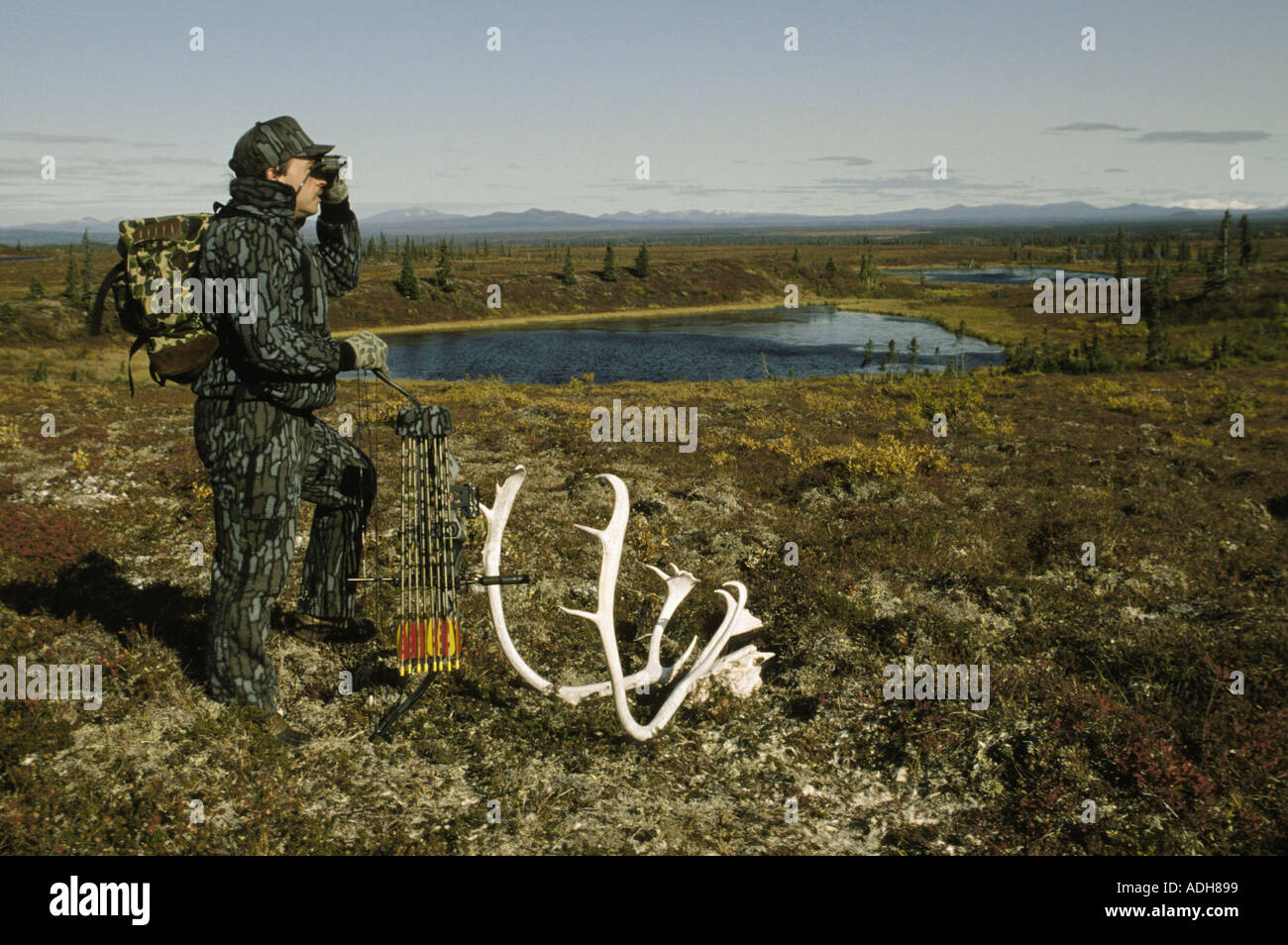 Jäger auf der Suche nach Caribou Iliamna Südwesten AK fallen Stockfoto