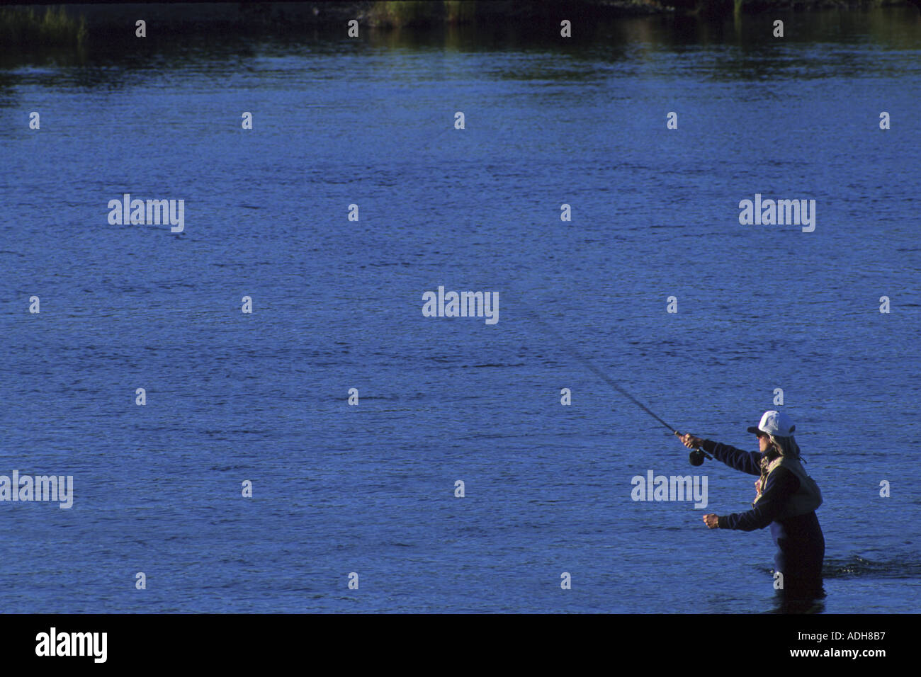 Fliegen Fischer Angeln für Sockeye Lachs im Stream Stockfoto