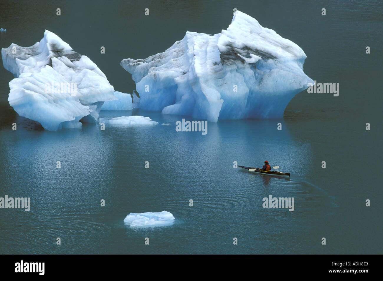 Kajakfahrer unter Eisberge Glacier Bay NP SE AK Stockfoto