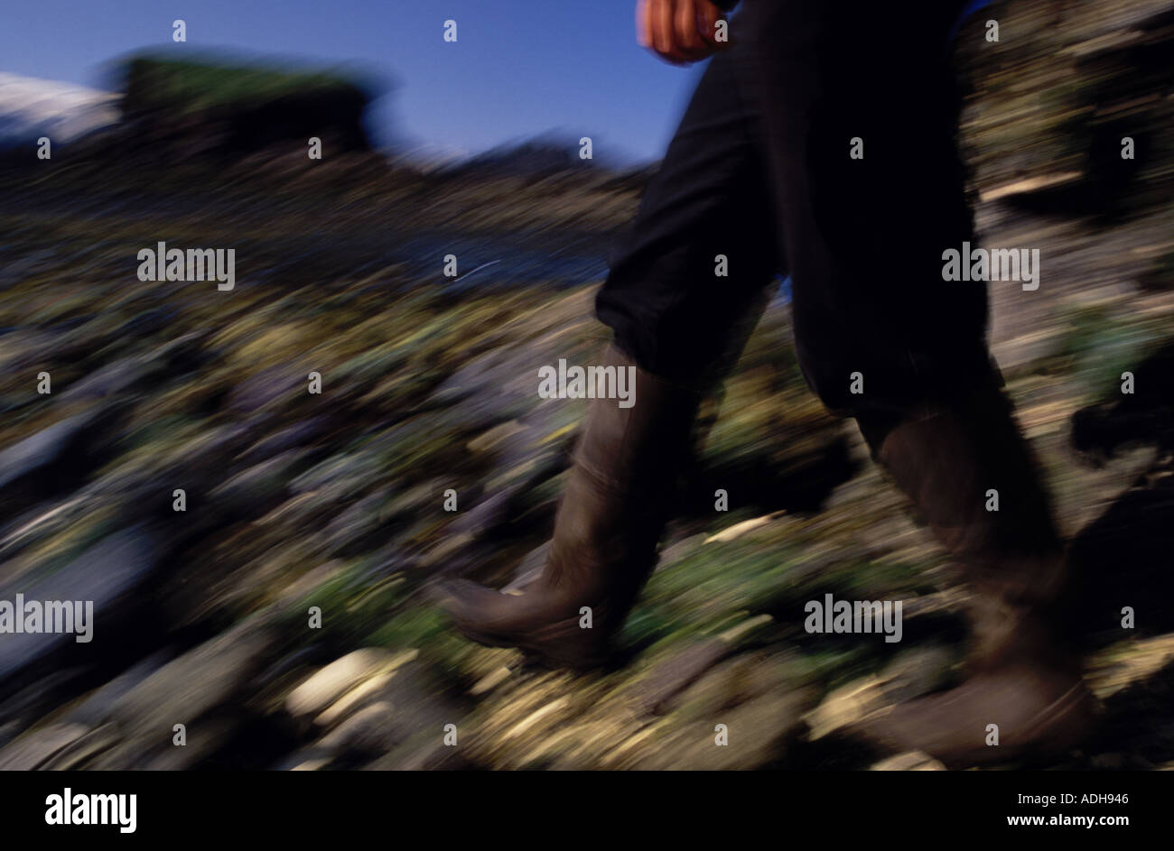 Unscharfen Blick auf Wanderer s Stiefel Strandläufer am Yukon-Insel Stockfoto