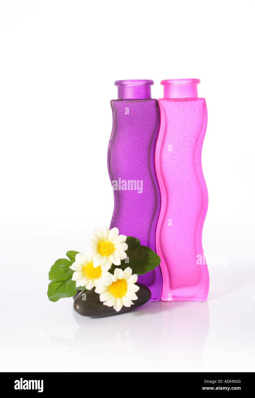 Daisy, Flaschen und Fluss-Steinen Stockfoto