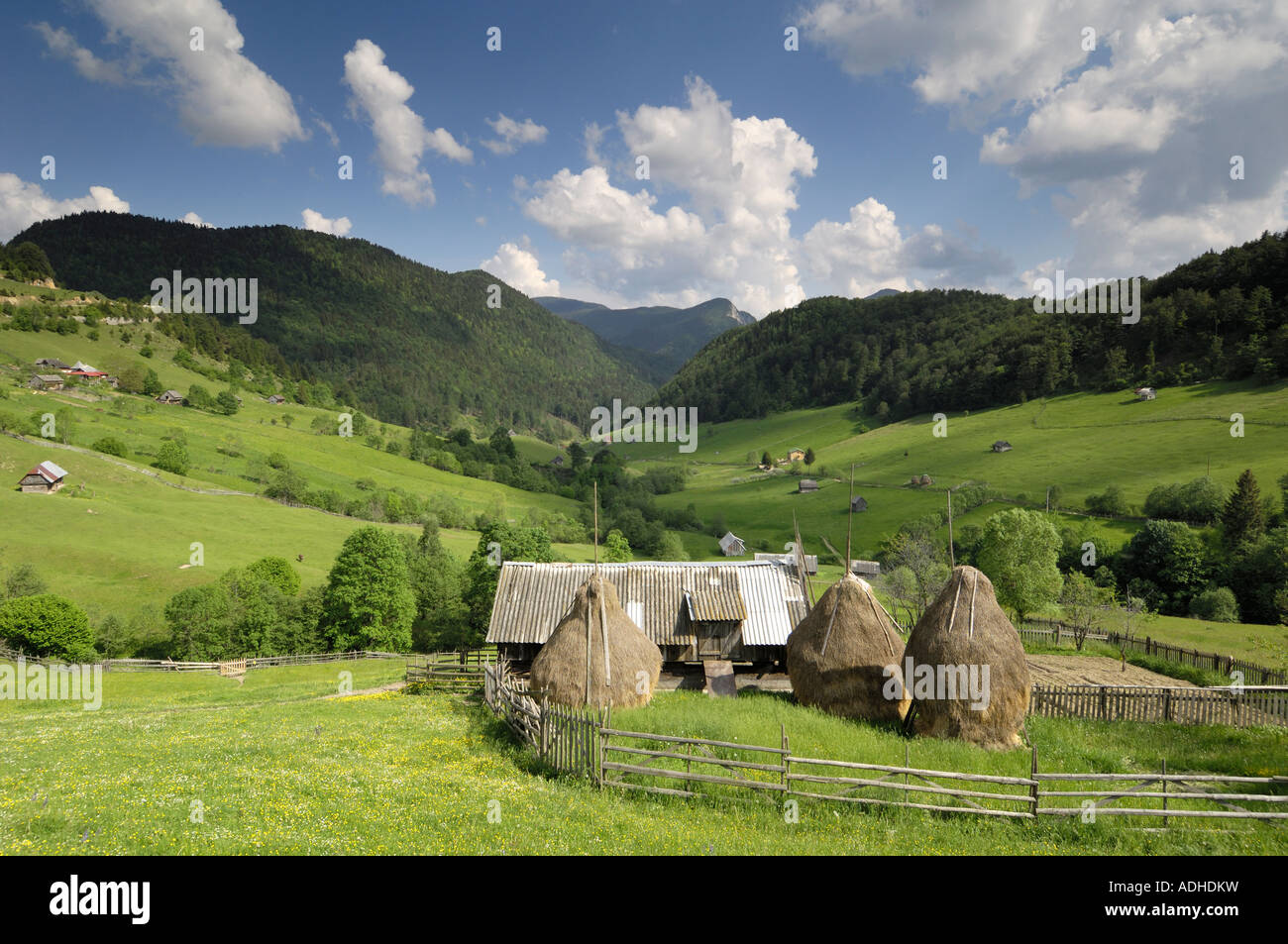 Heuhaufen und alpine Landschaft, in der Nähe von Fundata und Kleie, Siebenbürgen, Rumänien Stockfoto