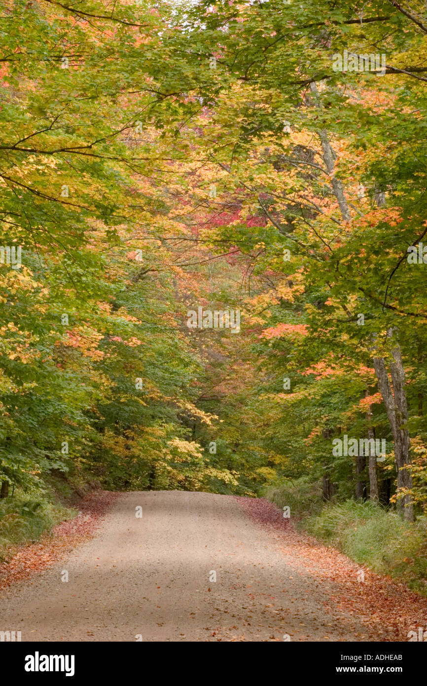 Herbstfarben auf Big Moose Straße in den Adirondack Mountains des Staates New York Stockfoto