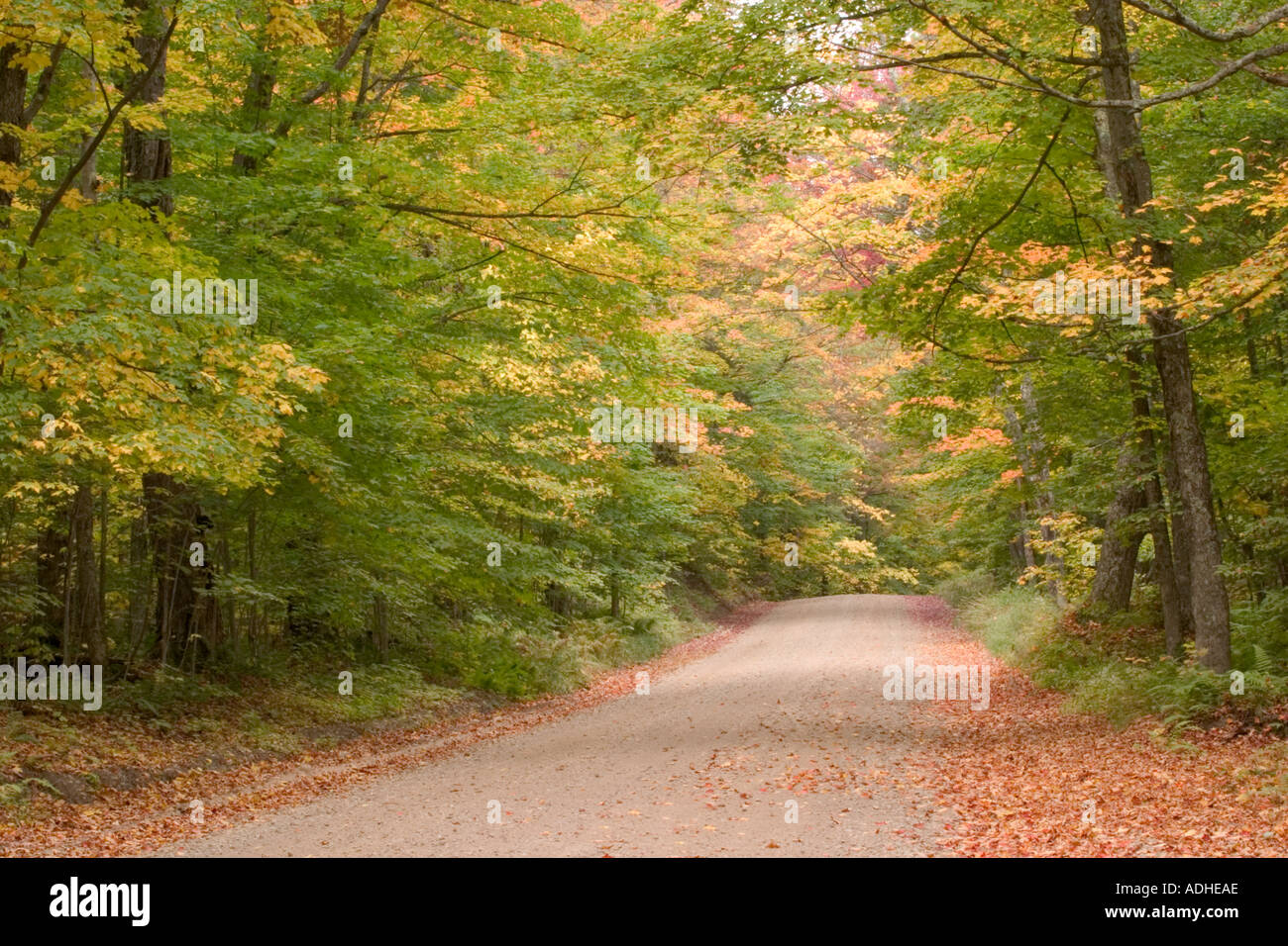 Herbstfarben auf Big Moose Straße in den Adirondack Mountains des Staates New York Stockfoto