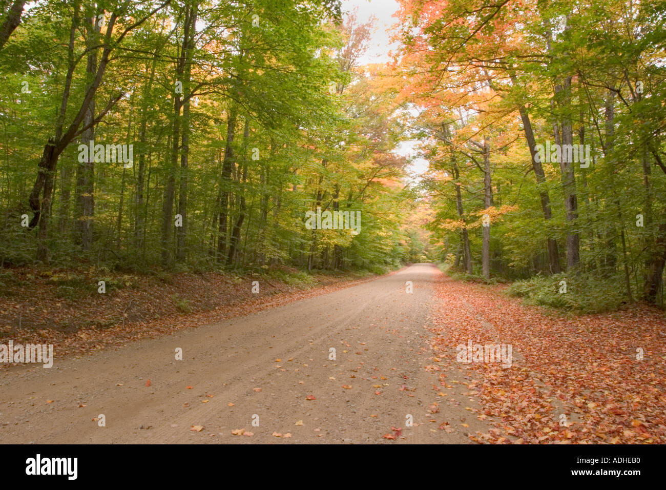Herbstfarben auf Big Moose Straße in den Adirondack Mountains des Staates New York Stockfoto