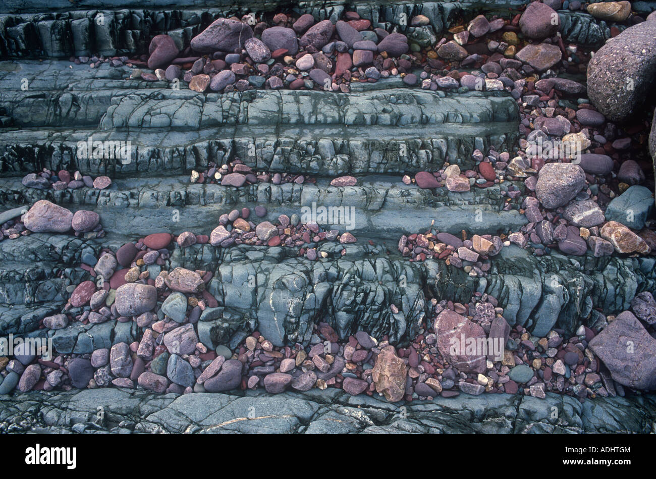 Farbige Felsen am Strand Marloes Pembrokeshire Dyfed West Wales UK Stockfoto