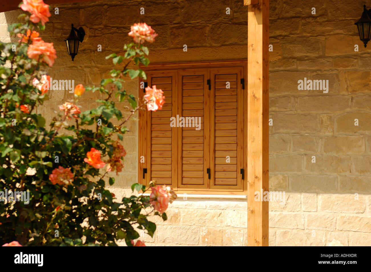 Stieg der Busch wächst vor einem Landhaus Stockfoto