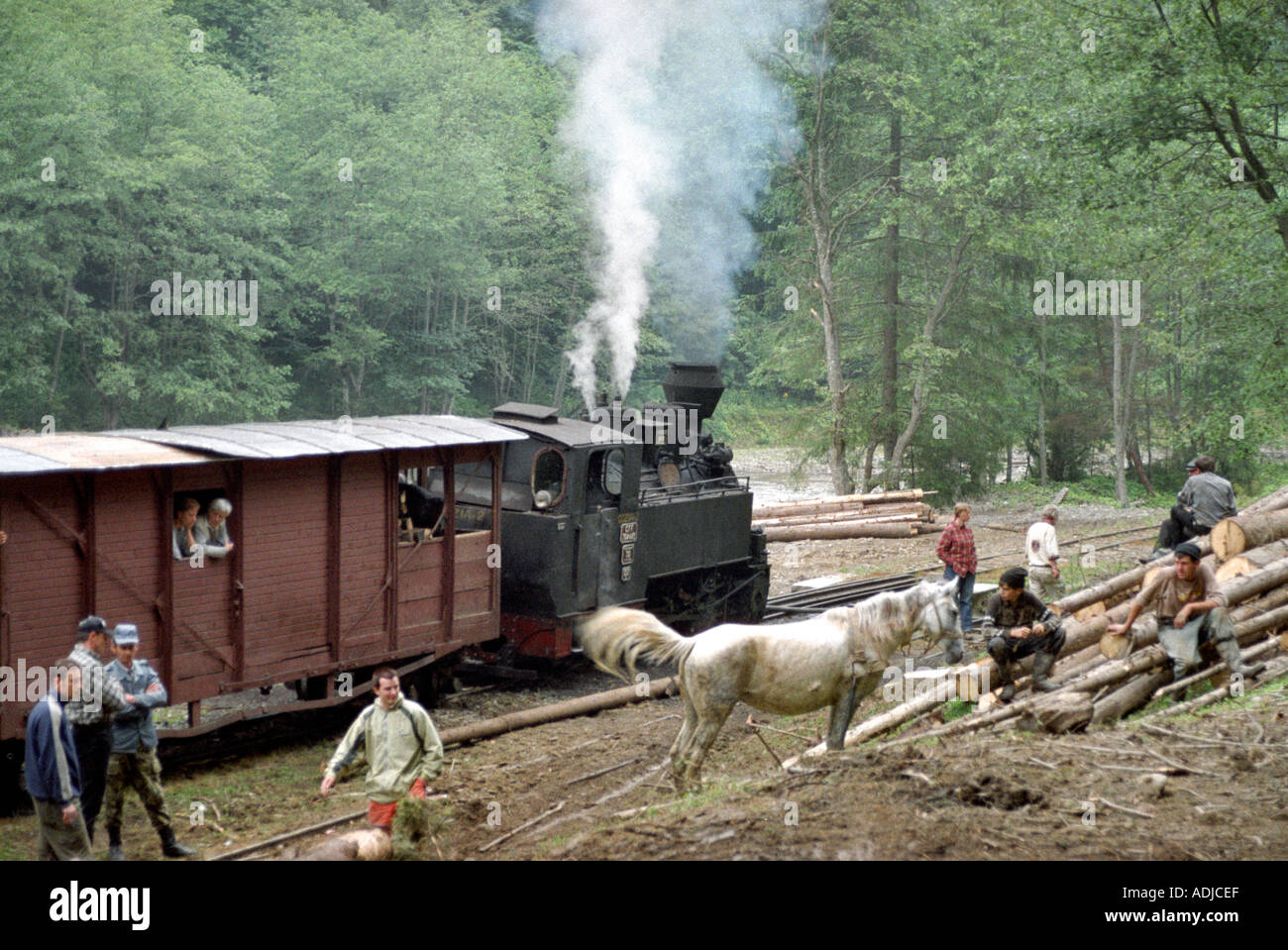 Route für Touristen In den Bergen von Maramures Siebenbürgen Viseu Eisenbahn entstand entlang des Flusses Vaser s Stockfoto